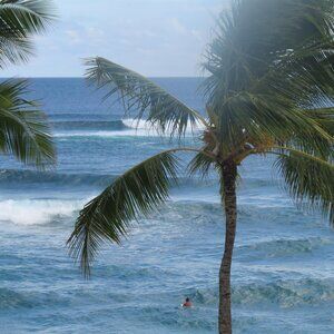 Meet your Posher, Tamara